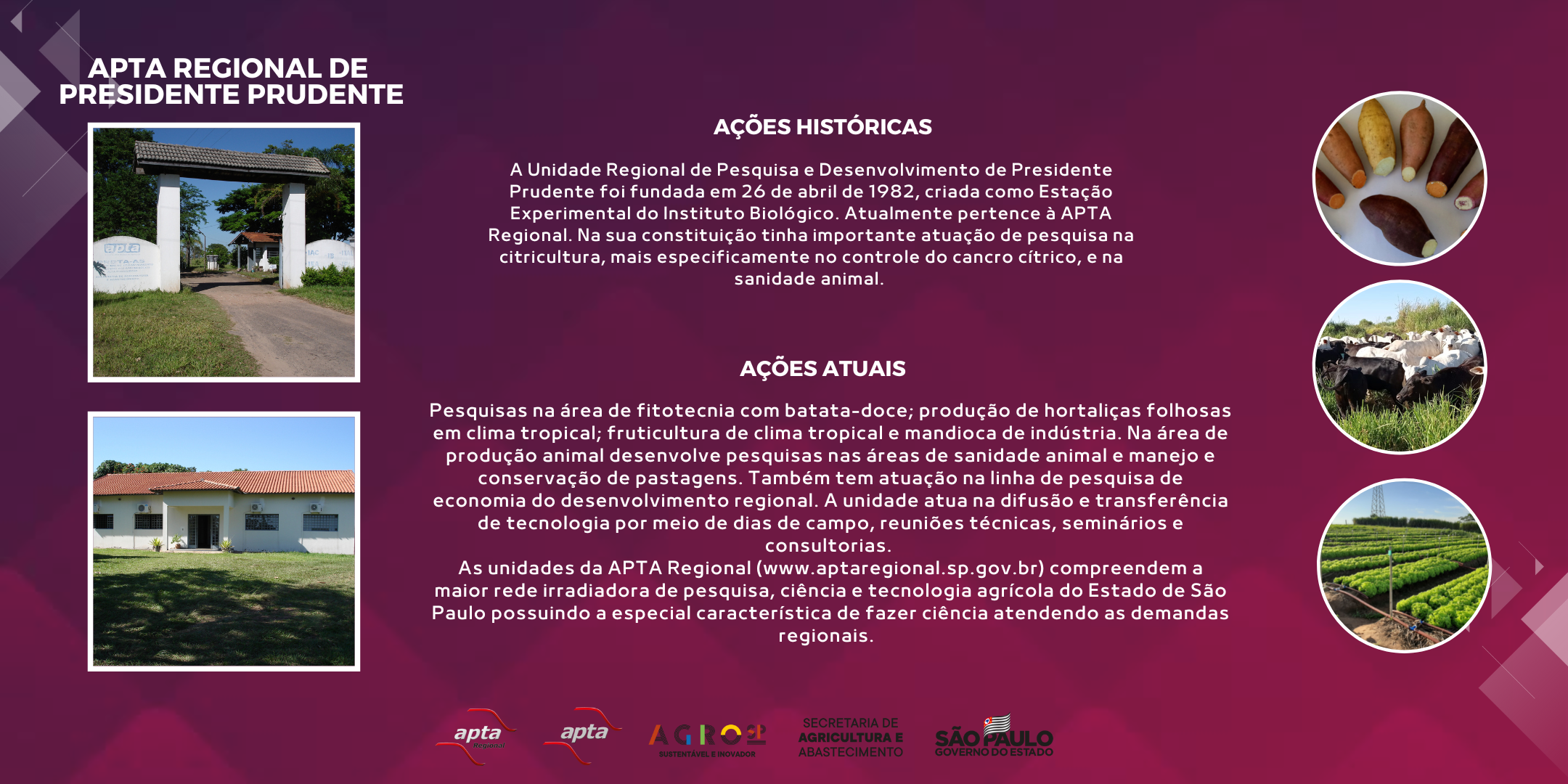 APTA REGIONAL DE PRESIDENTE PRUDENTE